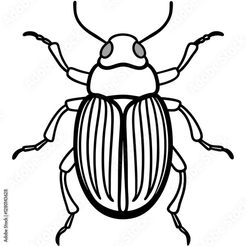 Geometric Beetle Design