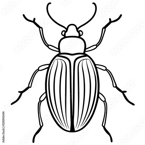 Geometric Beetle Design
