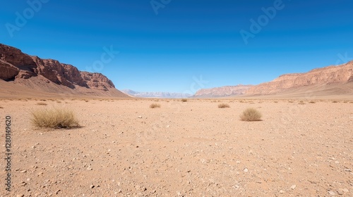 Vast arid desert valley with sparse dry shrubs under a clear blue sky in daytime.
