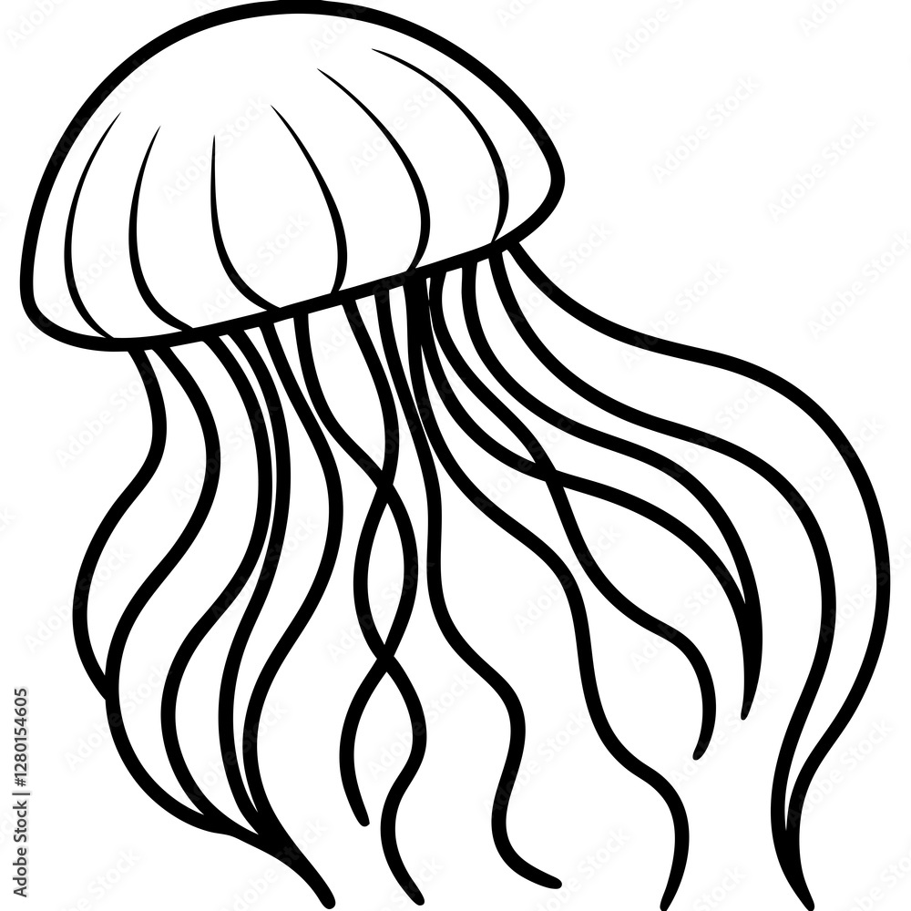 Graceful Jellyfish Lines Graceful Jellyfish Lines
