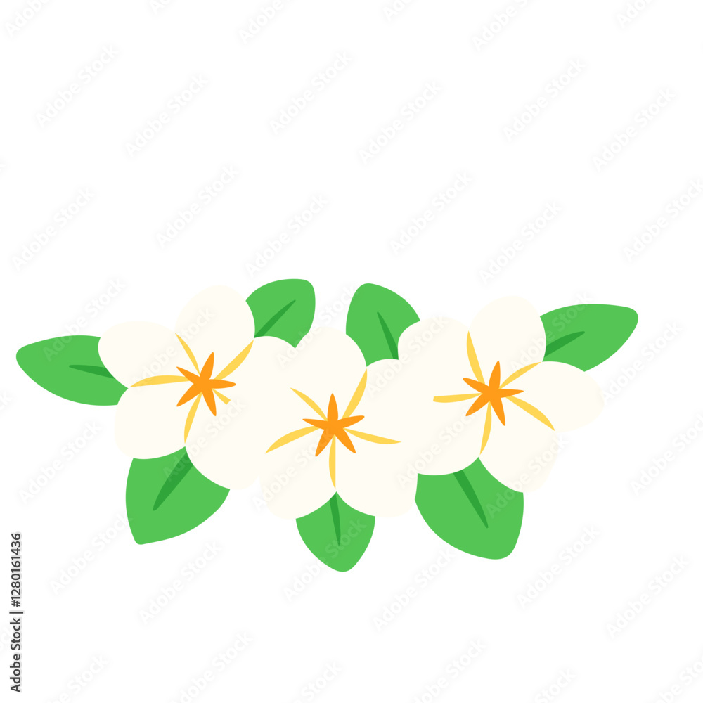 Fototapeta premium Hand drawn Plumeria flower illustration
