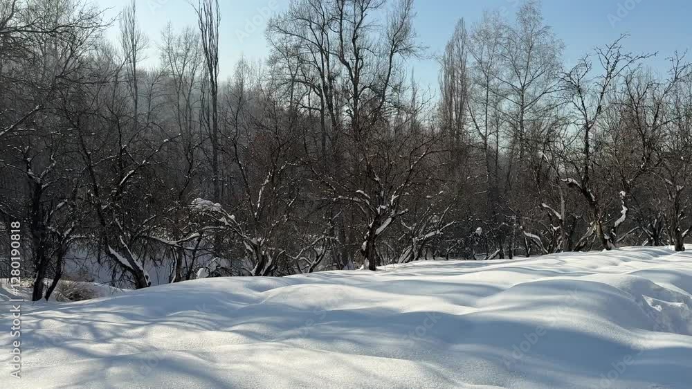 Mountainous terrain with different vegetation and a large layer of snow. Winter. Nature. Mountainous terrain with different vegetation and a large layer of snow. Winter. Nature.
