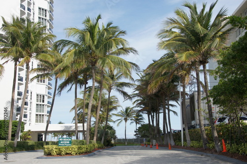 Canvas Print A tropical paradise in Miami turns sour