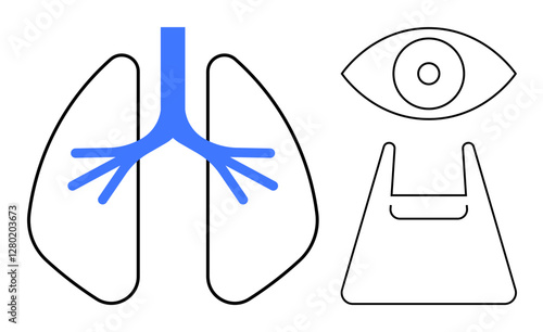 Abstract line art illustration of lungs, eye, and bell. Ideal for health, medical technology, observation, anatomy, respiratory system alerts educational tools. Black and blue abstract line flat