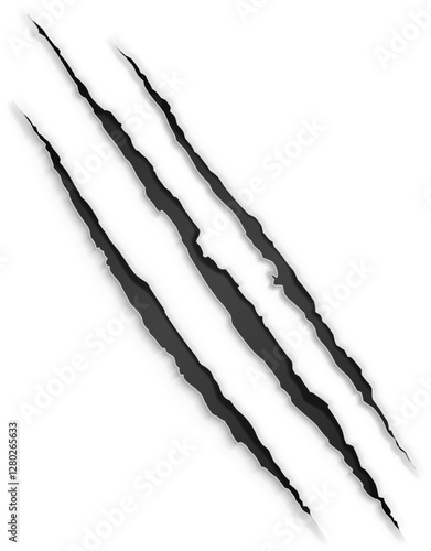 Nails Scratches Claw