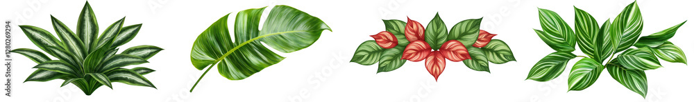 Isolated tropical leaf and foliage tree lush environment close-up view nature concept Isolated tropical leaf and foliage tree lush environment close-up view nature concept