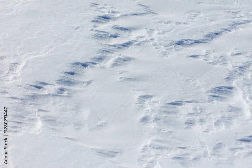 The snow is white and the ground is covered in it The snow is white and the ground is covered in it