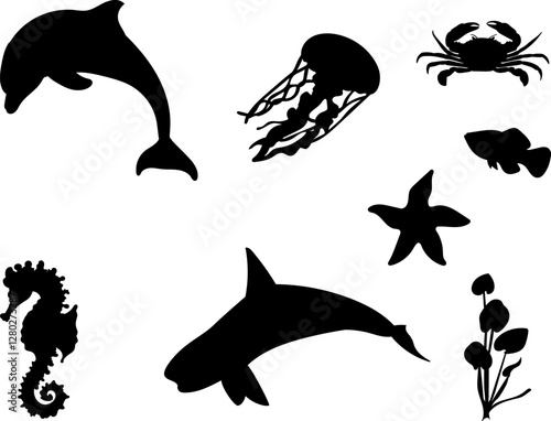 silhouette of dolphin, jellyfish, fish on white background, vector