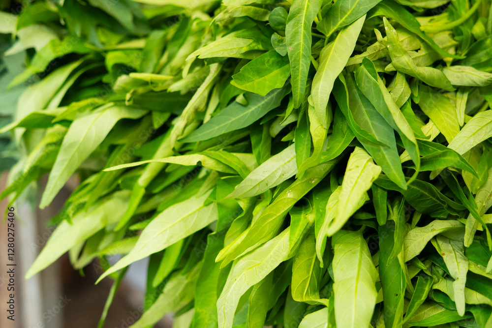 Fresh Water Spinach Bundles Displayed at a Traditional Market Stall – Local Greens for Sale Fresh Water Spinach Bundles Displayed at a Traditional Market Stall – Local Greens for Sale