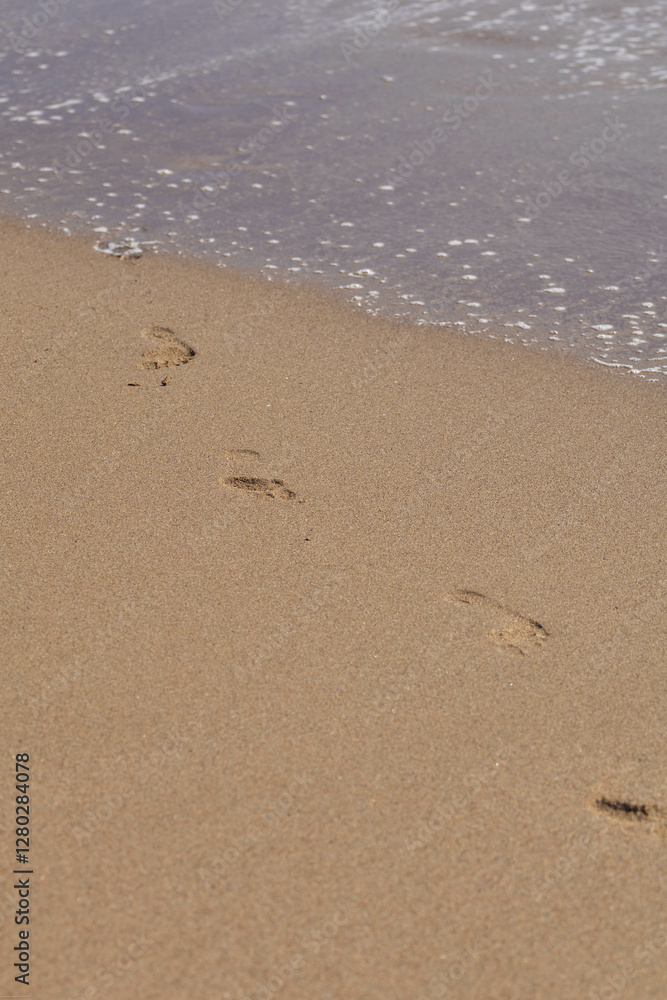 Footprints in the Sand: A tranquil beach scene with footprints leading towards gentle waves. The sun-kissed sand invites exploration. Footprints in the Sand: A tranquil beach scene with footprints leading towards gentle waves. The sun-kissed sand invites exploration.