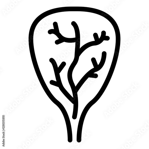 kale vegetables icon