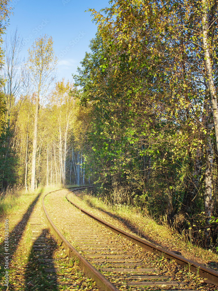 Obraz premium Train track with trees in the background