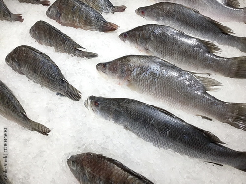 Ice tray filled with fresh fishes displayed in supermarket.