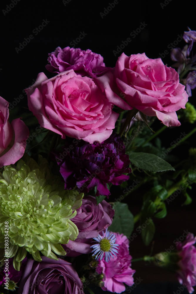 Dramatic Pink Roses on a Black Background Dramatic Pink Roses on a Black Background