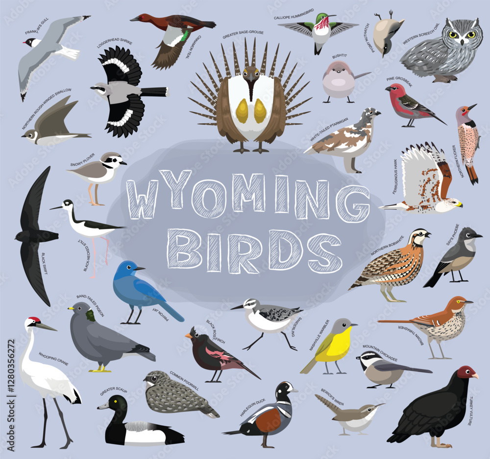 Fototapeta premium State Birds Wyoming Set Vector Illustration