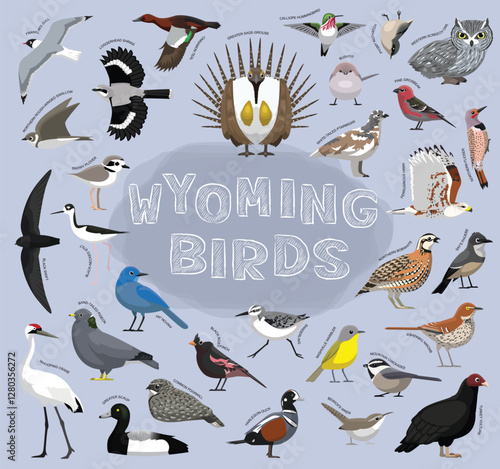State Birds Wyoming Set Vector Illustration