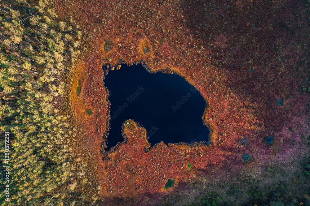 Top down drone shot of forest in colorful autumn colors. Abstract scenery, sustainable ecosystem. Colorful foliage.