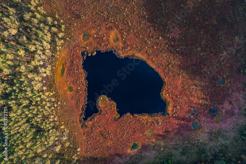Obraz na płótnie Top down drone shot of forest in colorful autumn colors. Abstract scenery, sustainable ecosystem. Colorful foliage.
w salonie