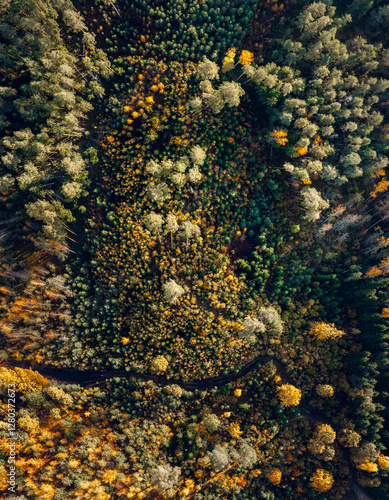 Obraz na płótnie Top down drone shot of forest in colorful autumn colors. Abstract scenery, sustainable ecosystem. Colorful foliage.
w salonie