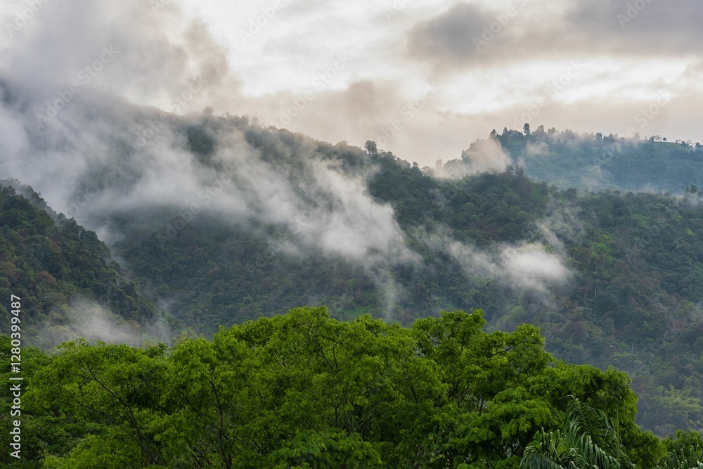 Misty Green Mountains Covered in Clouds Misty Green Mountains Covered in Clouds