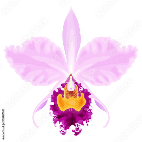 Vector illustration of a Cattleya orchid in shades of pink, purple, and yellow. A highly detailed and elegant tropical flower with delicate petals, perfect for botanical and decorative designs.