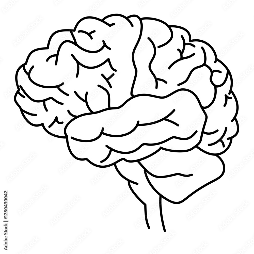 human brain vector human brain vector