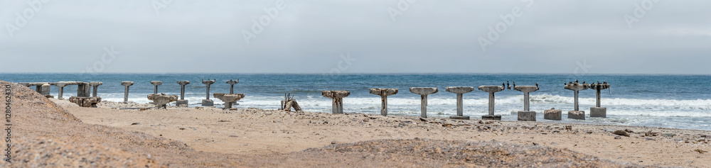 Cormorans on run-down pier at Ocean shore, Toscanini old mining site, Skeleton coast, Namibia