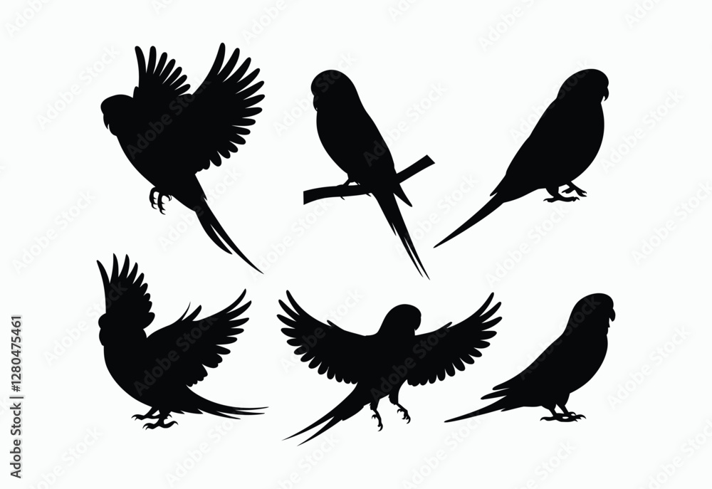 Fototapeta premium Unique Budgie Silhouette Vector Template Collection