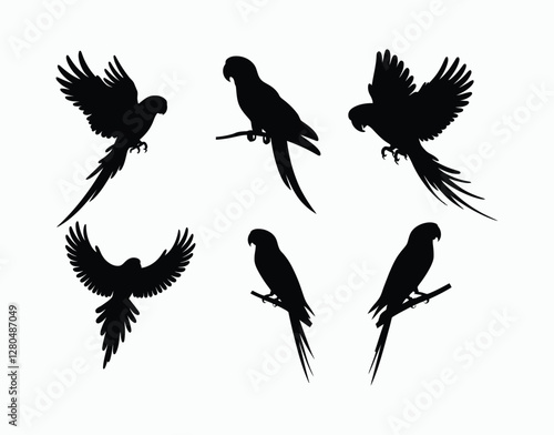 Beautiful Parrot Silhouette EPS Template Design