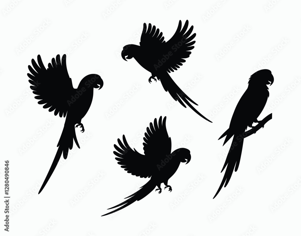 Fototapeta premium Parrot Silhouette EPS Template Artwork Collection