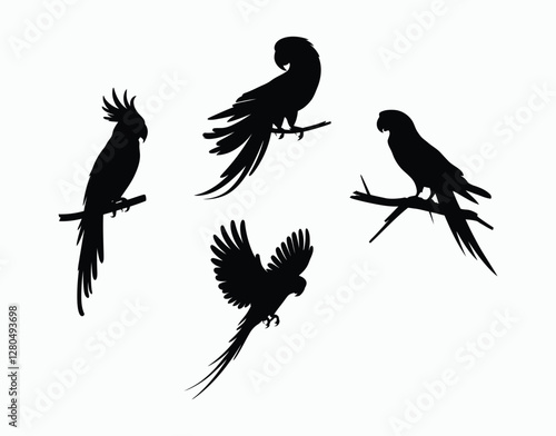Tropical Parrot Silhouette EPS Template