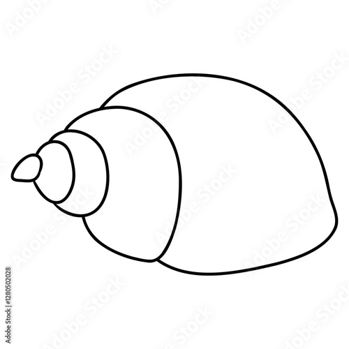 snail shell vector illustration