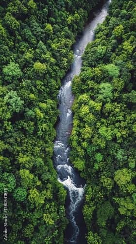 Serene Winding River Flows Through Lush Green Landscape Surrounded by Vibrant...
