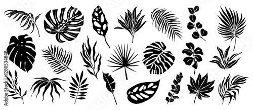 Set of black silhouettes of tropical leaves. Hand drawn elegant exotic eucalyptus, banana, strelitzia, palm, monstera leaves. Trendy botanical vector black illustrations isolated