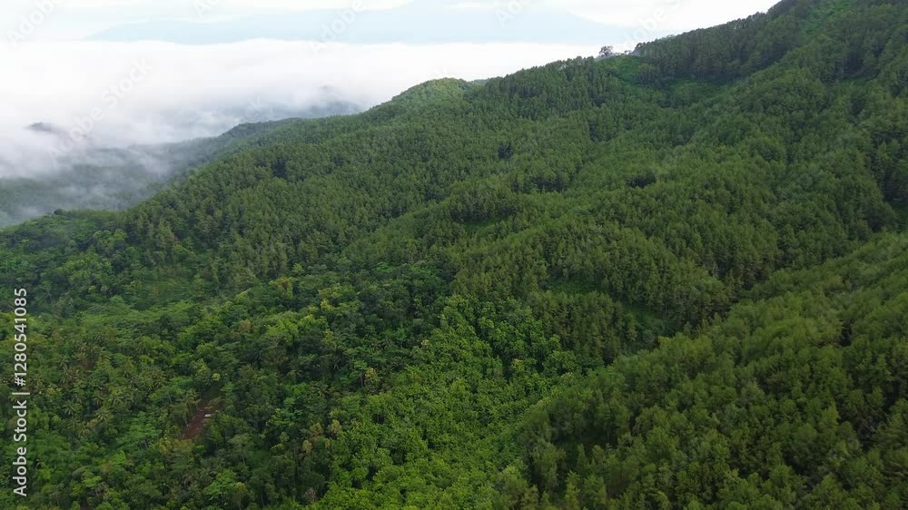 Aerial drone view of hills with lush forests and trees, with mountains in the background and morning mist Aerial drone view of hills with lush forests and trees, with mountains in the background and morning mist