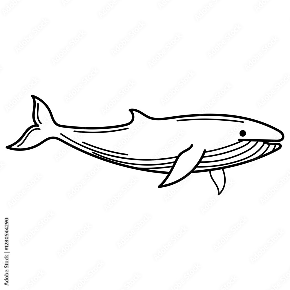 Whale outline in black and white, elegant and sleek design. Perfect for logos, prints, coloring book for kids, and nature themed projects Whale outline in black and white, elegant and sleek design. Perfect for logos, prints, coloring book for kids, and nature themed projects