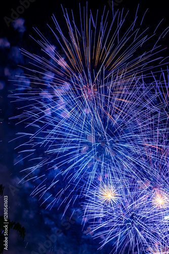 fireworks in the sky