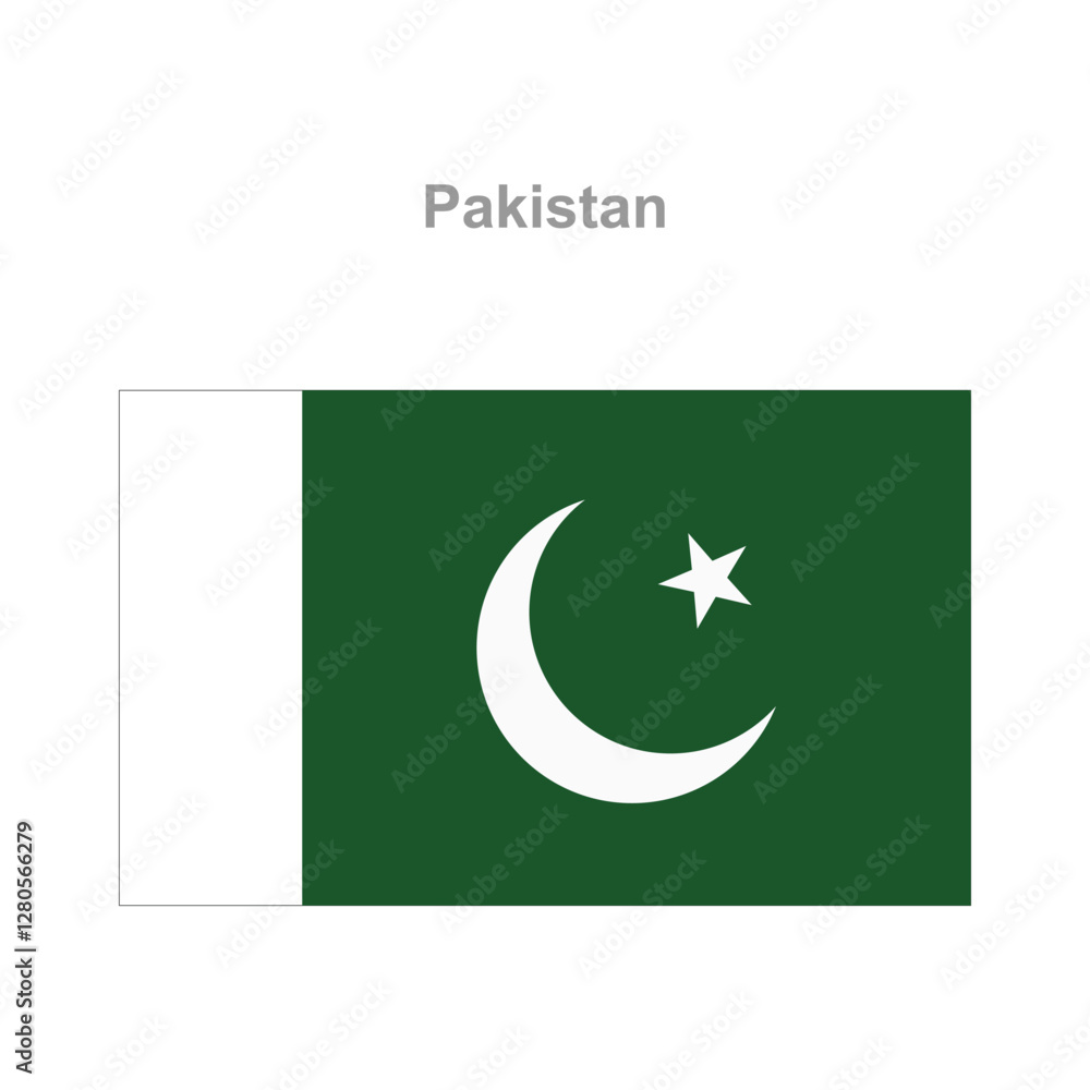 Pakistan flag. Vector illustration of the national flag Pakistan flag. Vector illustration of the national flag