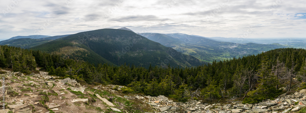 Fototapeta premium Panorama of Krkonoše mountains during the summer