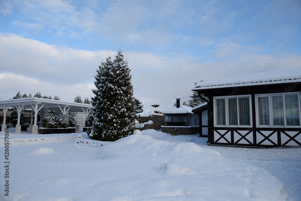 Architecture in winter. Snowy view of the fir forest. Architecture in winter. Snowy view of the fir forest.