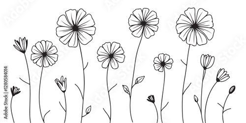 Wild Flower Outline Drawing Coloring Page for Kids and Adults