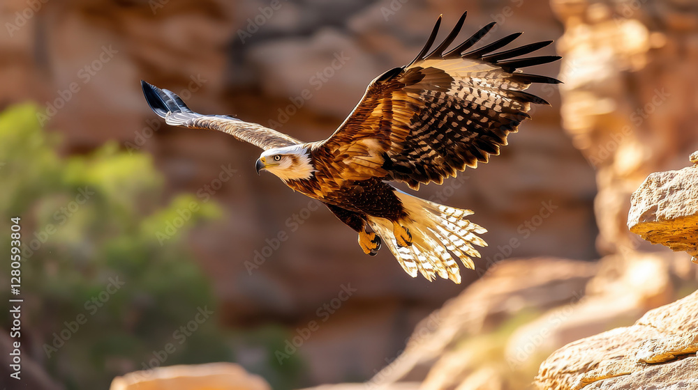 Majestic eagle soaring above rocky cliffs, showcasing its powerful wings Majestic eagle soaring above rocky cliffs, showcasing its powerful wings