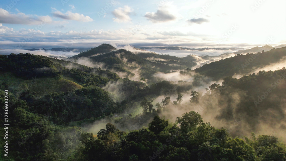 Landscape view of greenery mountains on foggy morning by drone Landscape view of greenery mountains on foggy morning by drone