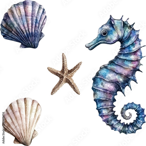 Set of watercolor shells, starfish and seahorses on a white background