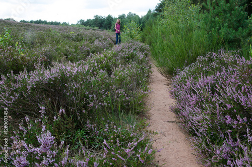 mehlinger heide photo