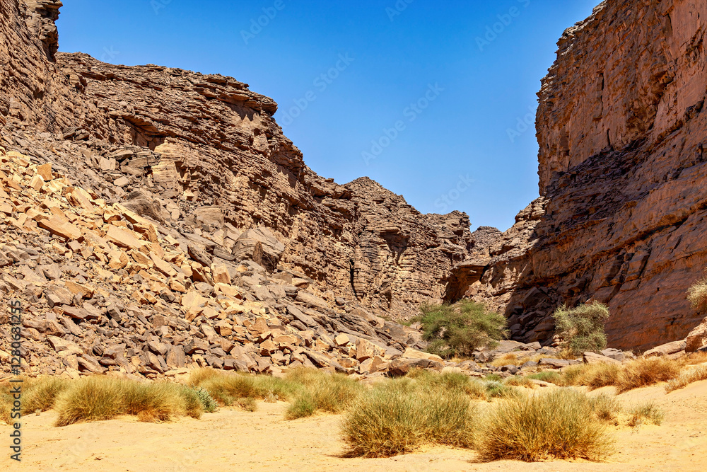 Fototapeta premium The Rocks and Gorge of the Sahara Desert in Algeria