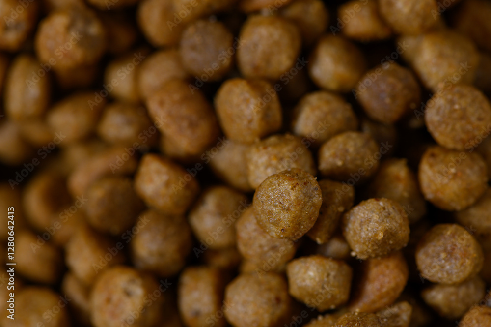 Nourishing pet food pellets scattered in a vibrant kitchen setting during the golden afternoon light Nourishing pet food pellets scattered in a vibrant kitchen setting during the golden afternoon light