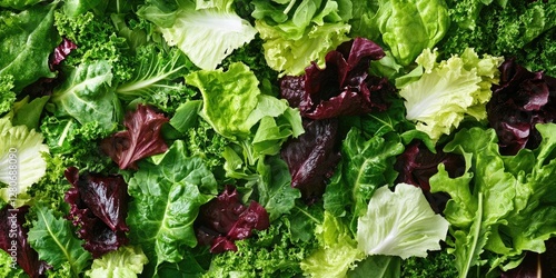 Wallpaper Mural Assorted fresh leafy greens including romaine, kale, and butter lettuce in shades of green and red arranged in a vibrant flat lay composition. Torontodigital.ca