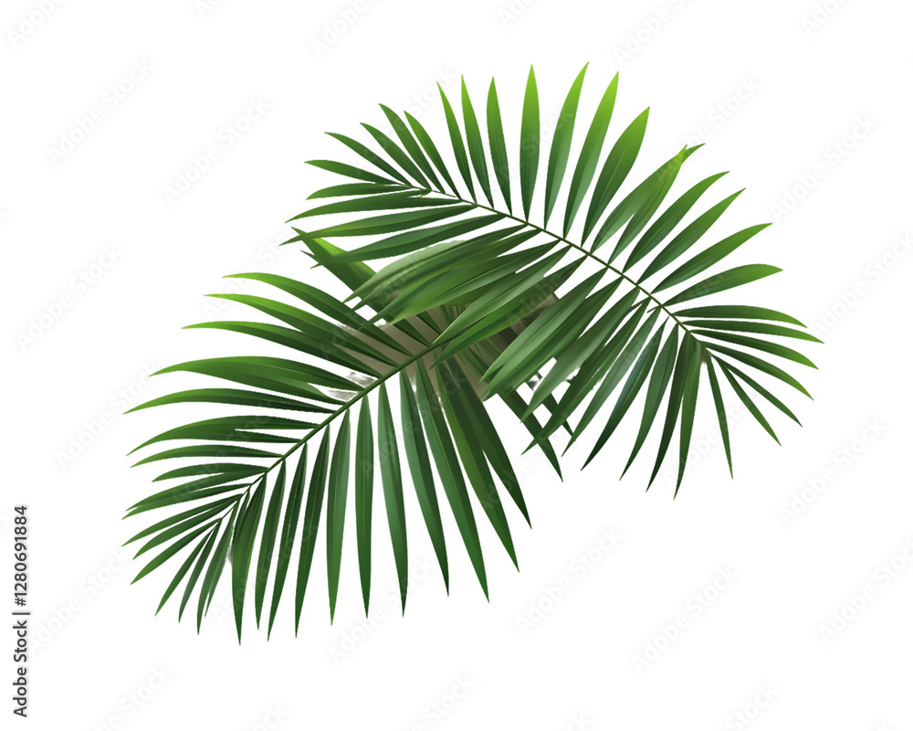 Vibrant green palm fronds isolated on a transparent background. Ideal for tropical designs and summer themes, PNG Vibrant green palm fronds isolated on a transparent background. Ideal for tropical designs and summer themes, PNG