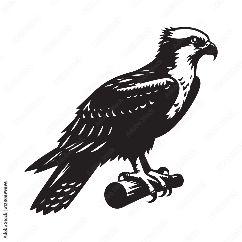 Naklejka premium Osprey bird Silhouette Vector Illustration, Solid White Background.